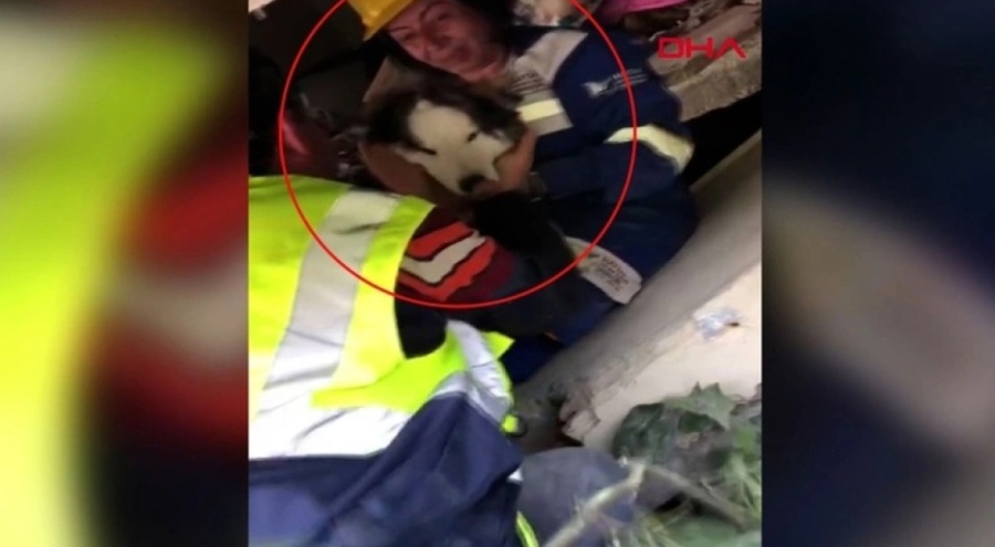 Hatay'da 23 gün sonra 'Aleks' adlı köpek, enkazdan çıkarıldı