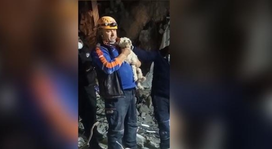Antakya'da 25 gün sonra enkazdan köpek kurtarıldı