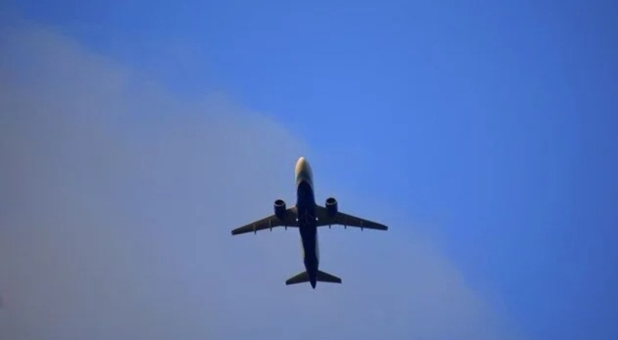 Tropikal meyve yüzünden uçak  İstanbul Havalimanı'na döndü!