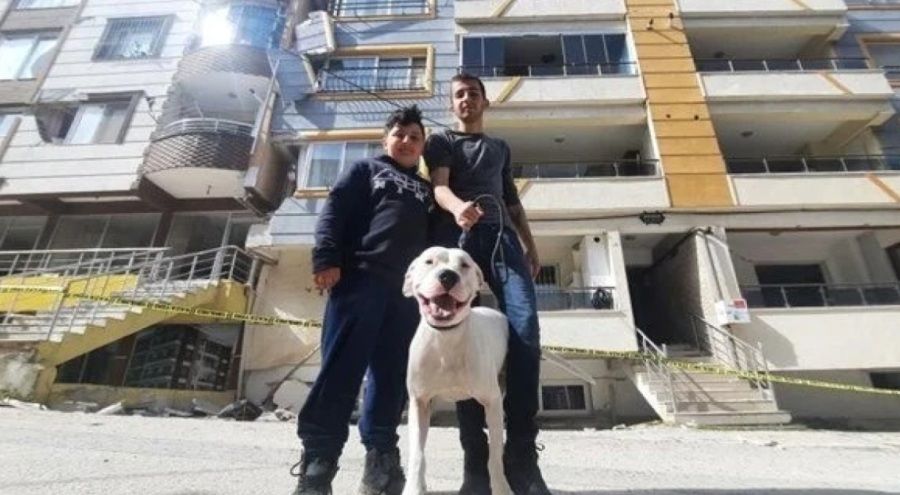 Kahraman köpek 'Dora' 2 çocuğun hayatını kurtardı!