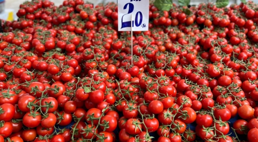 İhracat yasağıyla domatesin fiyatı yüzde 40 düştü! Vatandaşın yüzü güldü