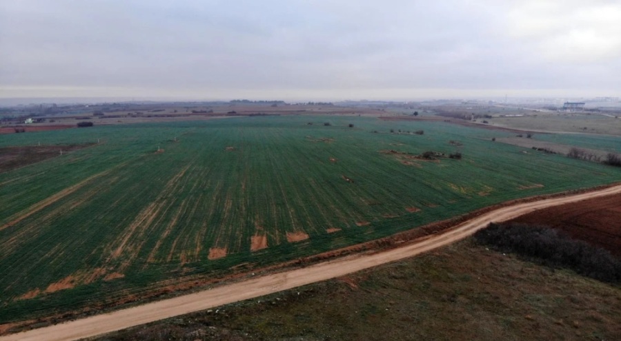 Çiftçi kara kara düşünüyor: 90 yılın en sıcak ve kurak şubat ayı!