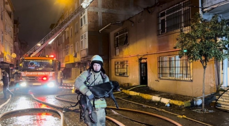 Alevlerin içinden köpeği kurtaran kahraman itfaiye eri takdir topladı