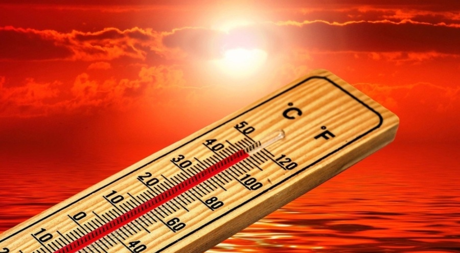 Dünyanın farklı bölgelerinde rekor sıcaklar yaşanıyor