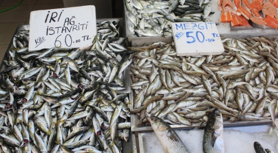 Tezgahlarda hamsi kalmadı!