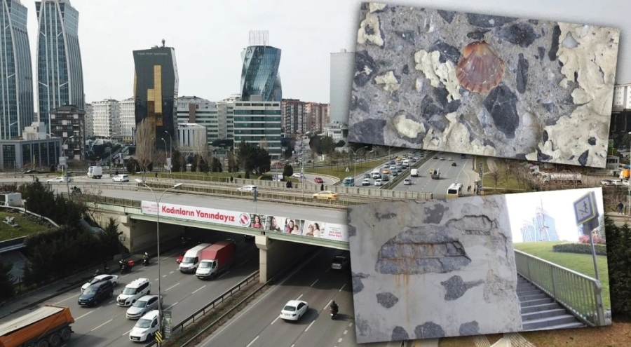 İstanbul'da köprünün betonunda ortaya çıkan midye kabukları endişe yarattı!