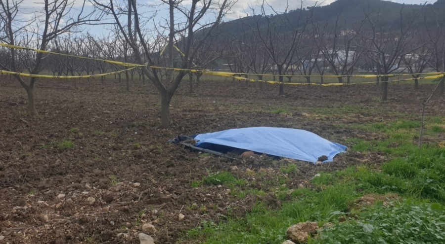 Tarlada erkek cesedi bulundu