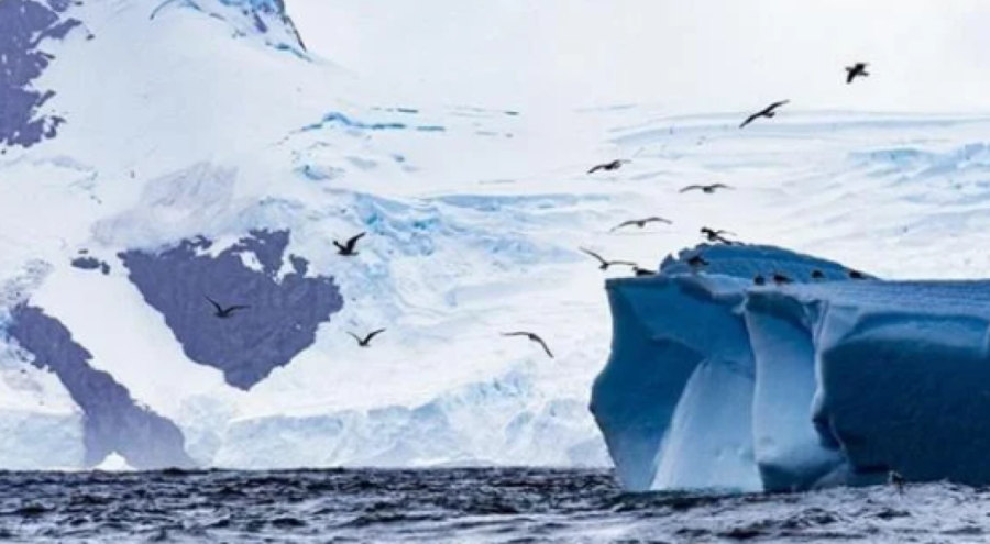 Avrupa için kaydedilen en sıcak ikinci dönem