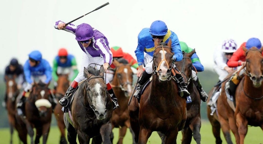 At yarışlarında dünyada uygulanan ilaç sınıflandırılması Tükiye'de eksik