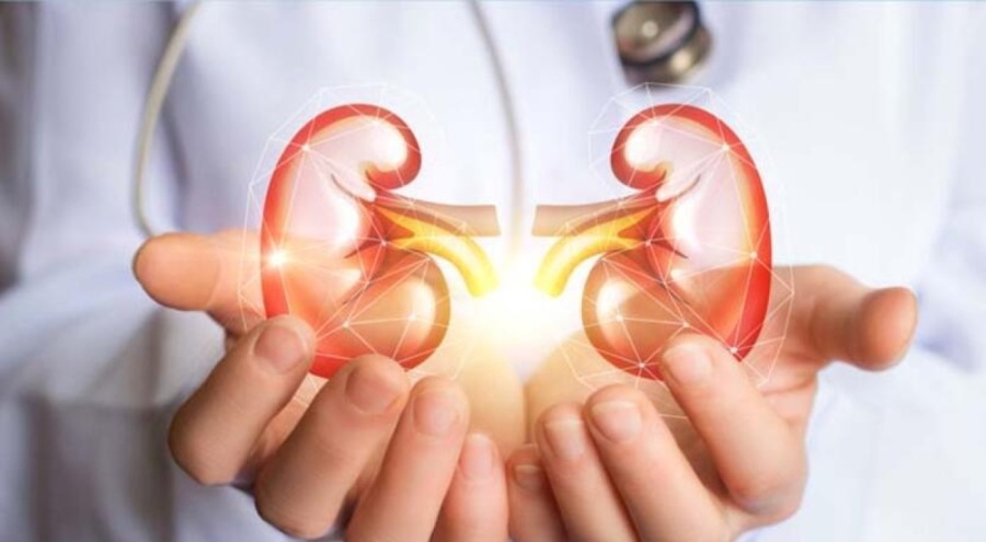 Türkiye'de her 6 kişiden 1'i potansiyel böbrek hastası