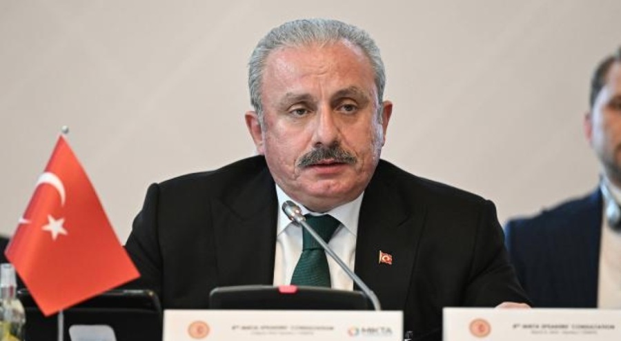 Şentop'tan Birleşmiş Milletler'e tepki