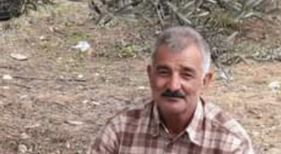 Kestiği ağacın altında kaldı