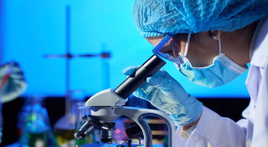 İki erkek fareden yavru üretildi! Kısırlık tedavinde de kullanılabilecek