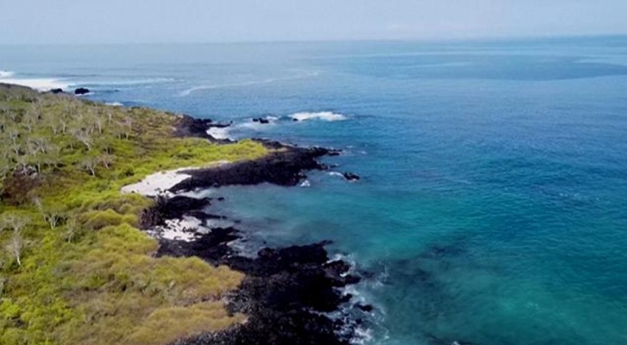 Havadaki karbon, sodyum bikarbonata dönüştürüldü