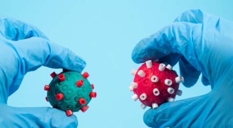 Hindistan'da H3N2 can aldı