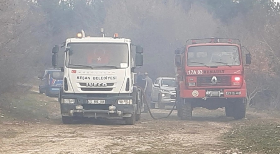 Edirne'de orman yangını