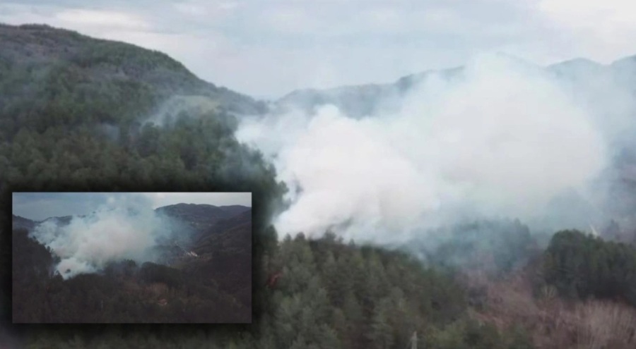 Atılan sigara izmariti, orman yangınına sebep oldu