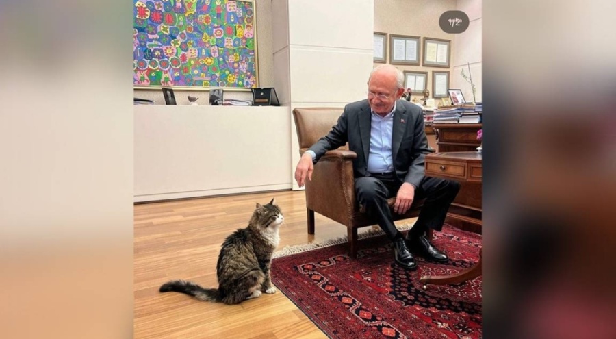 Kılıçdaroğlu'ndan bir müjde Şero'ya