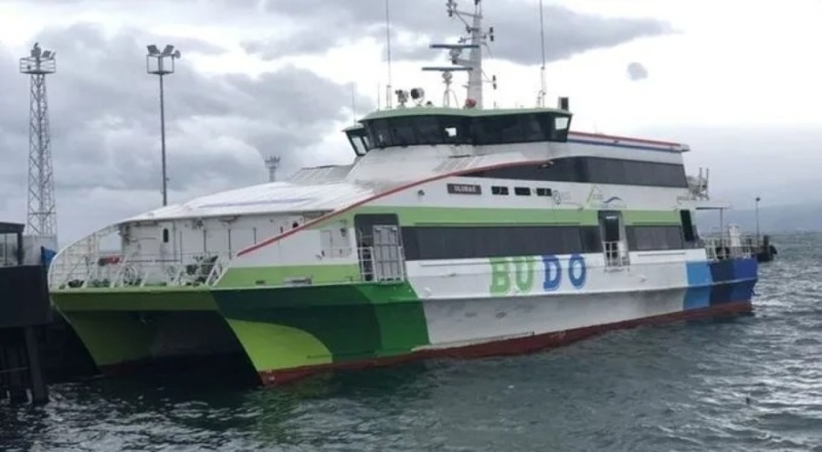 Bursa-İstanbul hattında 12 deniz otobüsü seferi iptal edildi