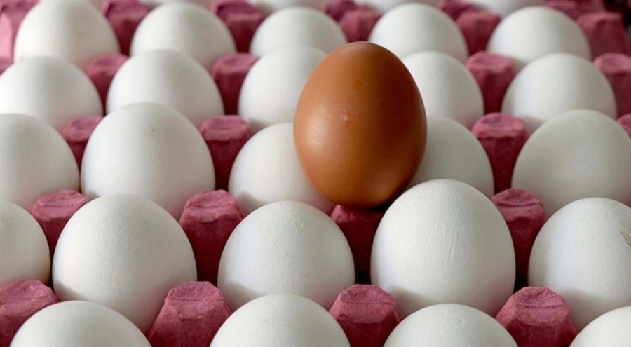 Yumurta fiyatlarına zam!