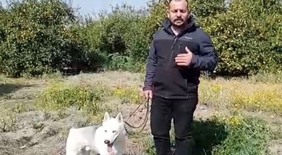 Hatay'da  konteyner almak isteyen depremzedeyi 60 bin TL dolandırdılar