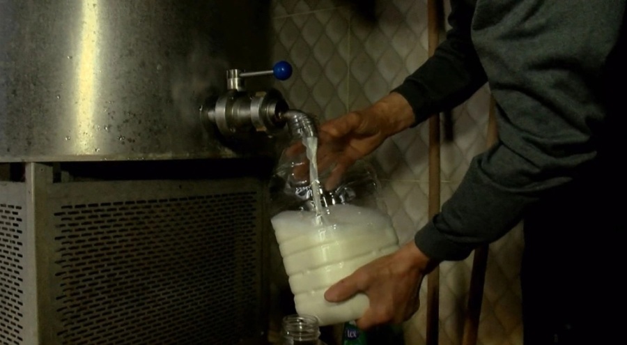 Ocak ayında toplanan süt miktarı yükseldi