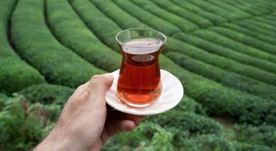 Türk çayı ihracatı yükseldi