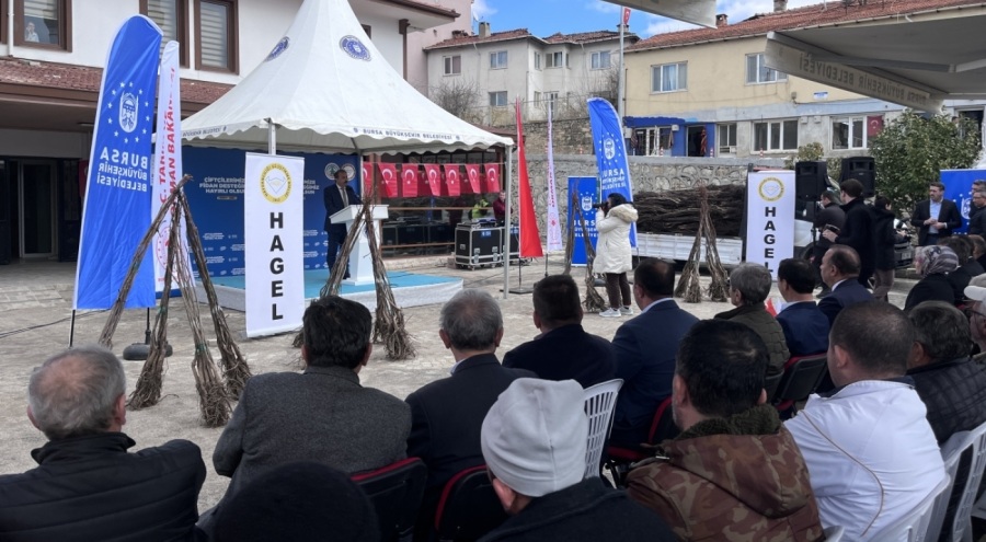 Bursa'da çiftçilere fidan desteği