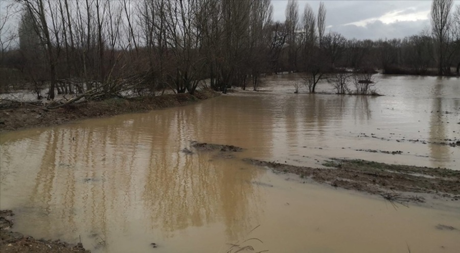 Kütahya'da kuvvetli sağanaktan tarım arazileri hasar gördü