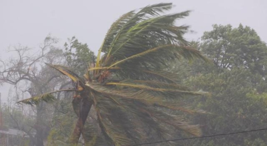 Freddy Kasırgası 190 can aldı