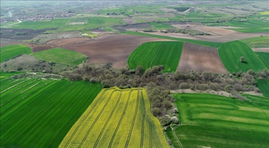 Deprem sonrası Trakya'daki arsalara ilgi yükseldi