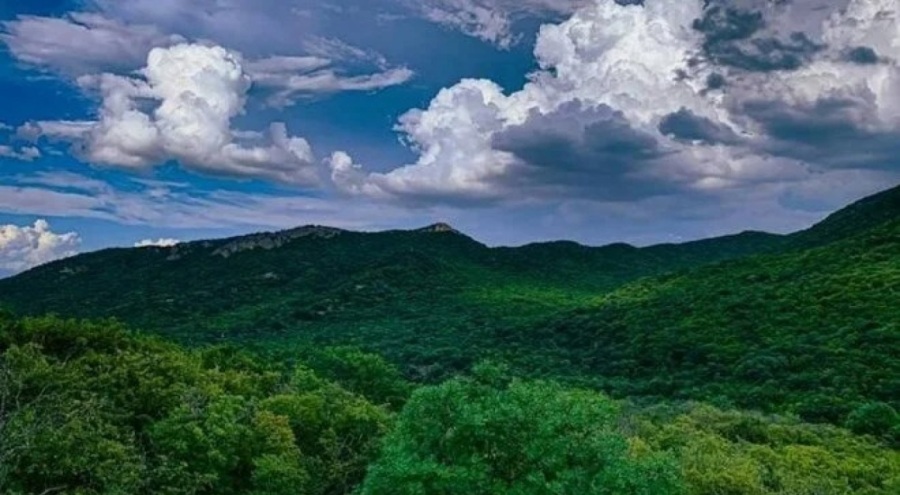 Dünyanın en temiz havasına sahip ülkeler açıklandı