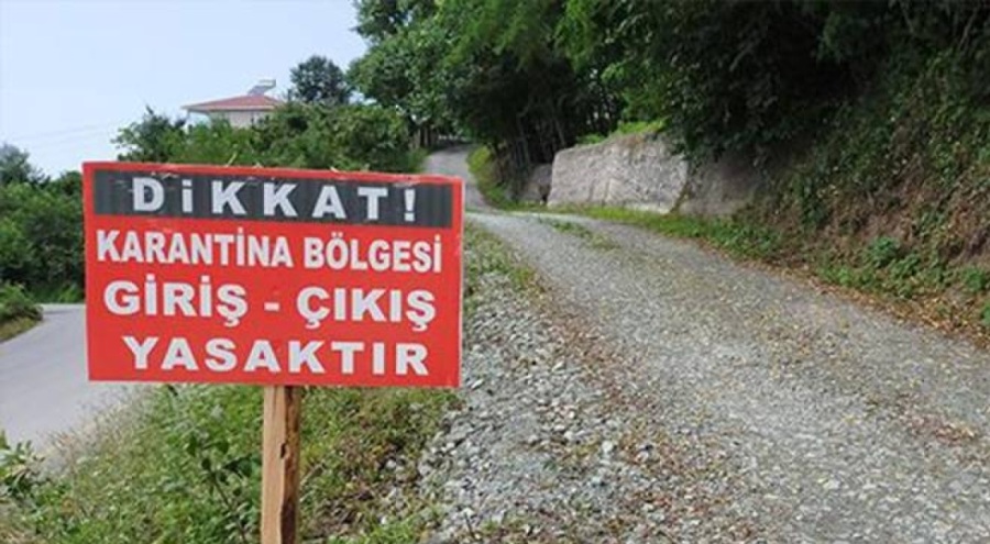 Zonguldak'ta 215 köye şap karantinası