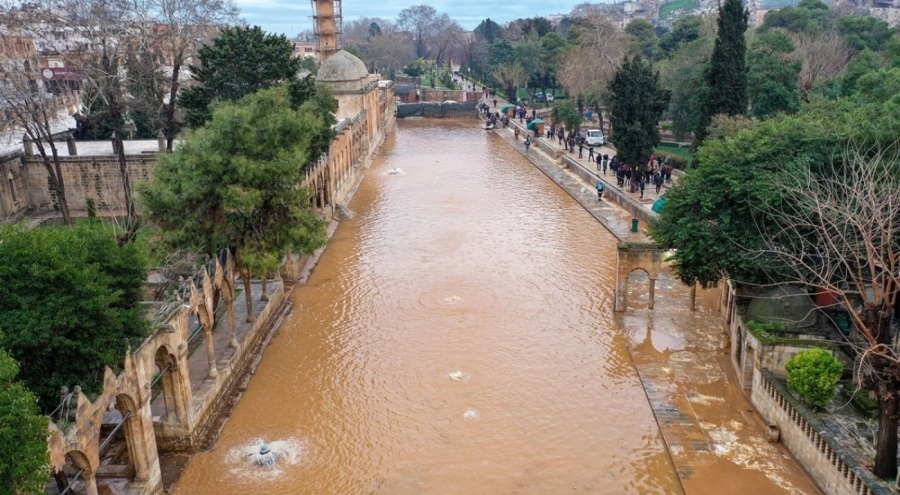 Balıklıgöl'deki balıkların nerede olduğu anlaşıldı