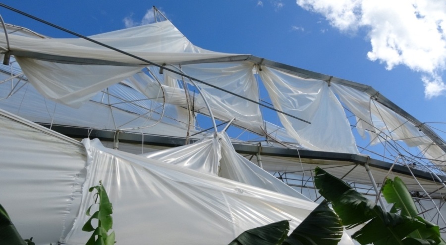 Hortum muz serasını vurdu