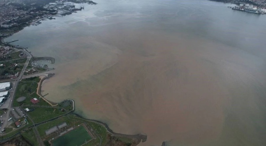 İzmit Körfezi çamura büründü