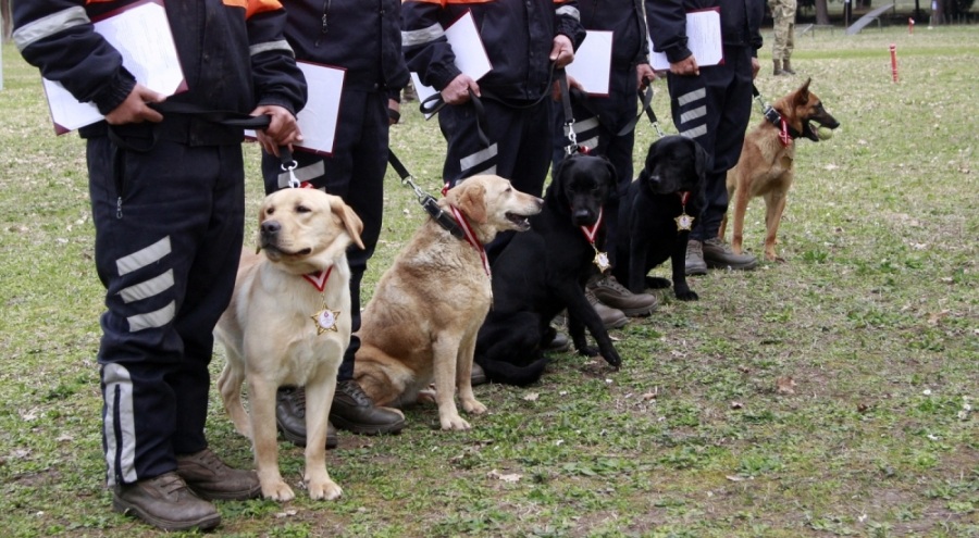 Enkaz altında kalan yüzlerce kişiyi kurtaran köpekler Bursa'da ödüllendirildi
