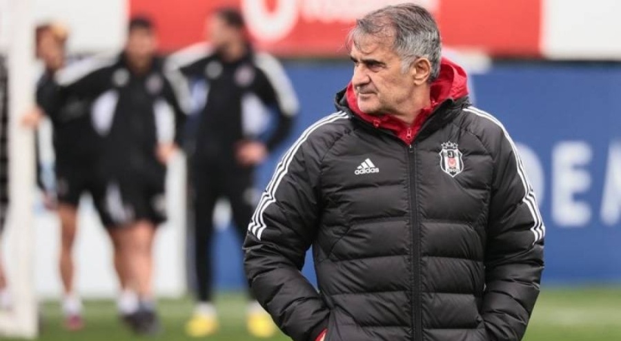 Teknik direktör Şenol Güneş'ten milli ara planı