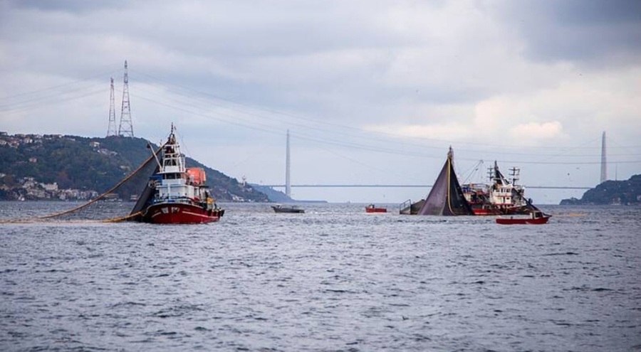 Balıkçıların sorunlarına ilişkin Meclis Araştırma Komisyonu kurulacak