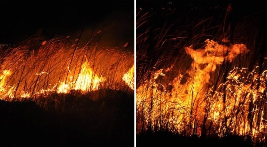 Koruma altında bulunan Göksu Deltası'nda yangın