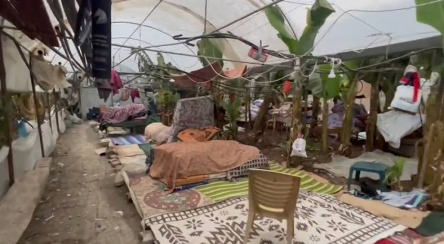 Mahsun Kırmızıgül: 200 kişi muz serasında yaşamaya çalışıyor, lütfen göreve!