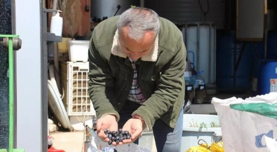 Aydın'da işletmeciler işçi bulamıyor