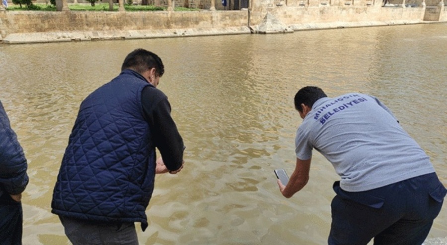 Deprem ve selin vurduğu Balıklı Göl'ün suyu düzeliyor