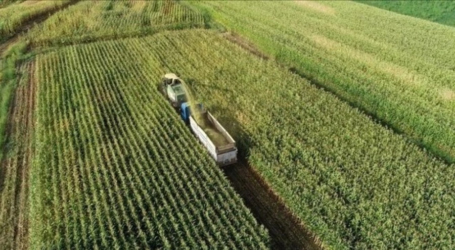 Çiftçilere 1,7 milyar liralık tarımsal destek ödemesi bugün hesaplarda