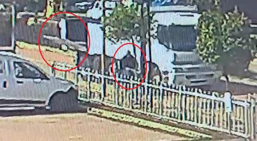 Kamyonun açık kasa kapağı, bisikletliyi ağır yaraladı