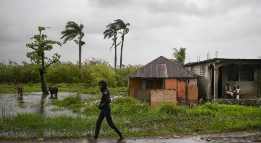 Haiti'de 5 milyon insan gıda güvenliği sorunu yaşıyor