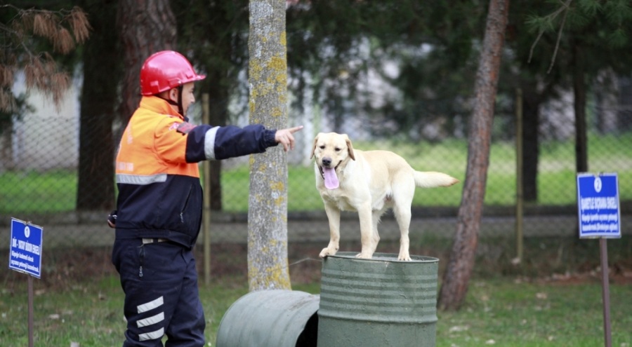 Depremde 78 kişiyi kurtaran köpeklerin branşlarını Bursa'da askeri heyet belirliyor