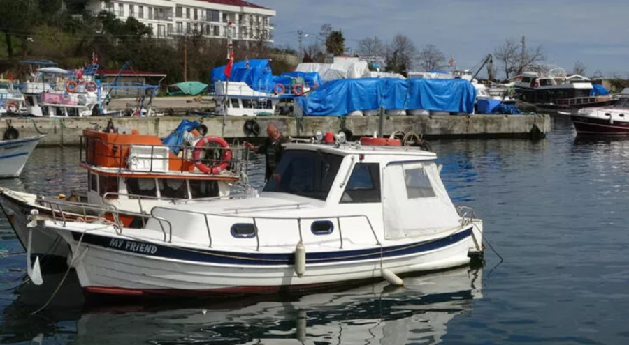 Hamsi ve istavrit olmayınca balık sezonu erken kapandı