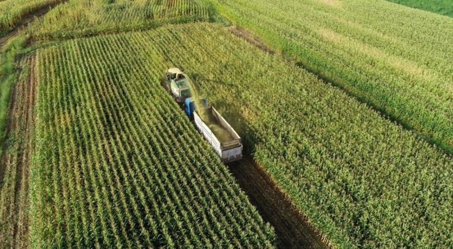 Sözleşmeli tarım ürünlerine tarım sigortası zorunlu hale gelecek