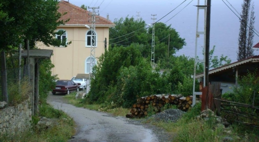 Kastamonu'da şap alarmı